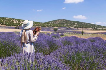 Lavender Field in the summer. Aromatherapy. Nature Cosmetics.Beautiful girl in a lavender field. Girl walking in the field.