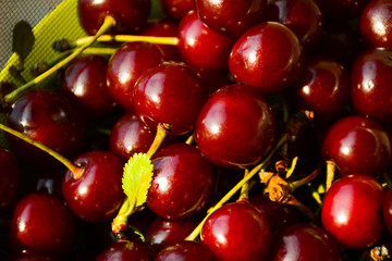  Ripe cherries in a plate in the kitchen