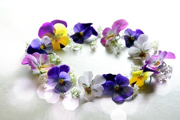 hintergund deko stiefmütterchen kranz lila blau gelb Lichtreflexe