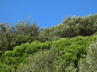 Paesaggio