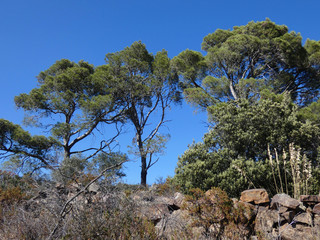 Paesaggio