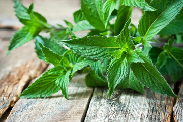 Green fresh  mint on wooden background