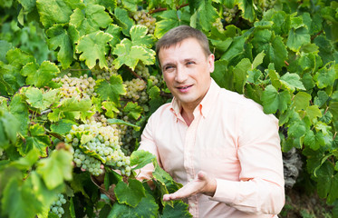 vintner with clusters of grape outdoors.