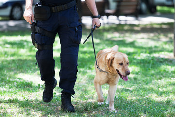 Policeman with police dog on duty