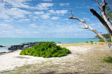 Strandbereich auf Mauritius