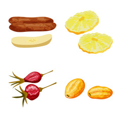 Isolated object of fruit and dried sign. Collection of fruit and food stock symbol for web.