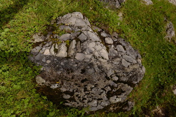 rock in ground