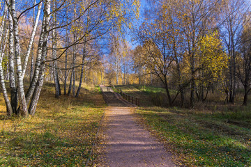 Footpath in the forest park. Sunny autumn day.
