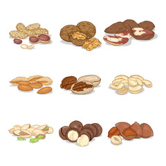 Vector Cartoon Set of Nuts in Piles. Healthy snack Collection.