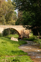 Fototapeta na wymiar stone bridge over the river V