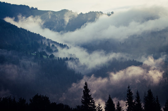 Foggy morning landscape © Roxana