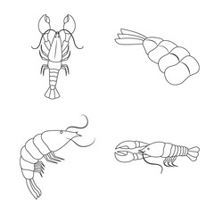 Isolated object of food and sea symbol. Set of food and animal vector icon for stock.