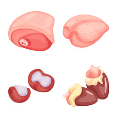 Vector illustration of meat and raw icon. Collection of meat and grilled stock vector illustration.