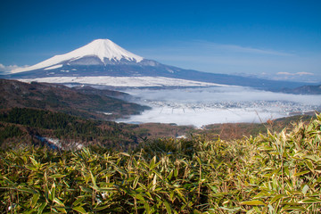 Fototapeta premium 忍野村 二十曲峠 夜明けの富士山