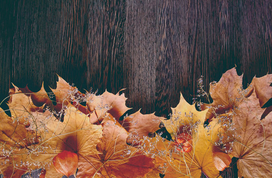 Autumn background photo. Maple leaves, place for text. Happy Halloween, harvest, the beginning of the school concept.