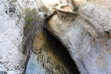 cavern roof of the cave Ear of Dionysius , natural acoustic miracle in Syracuse