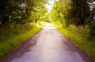 Driving along a countryside road in summer, central Scotland, Scenic countryside landscape with trees