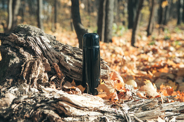 Thermos on the background of autumn leaves in the autumn forest