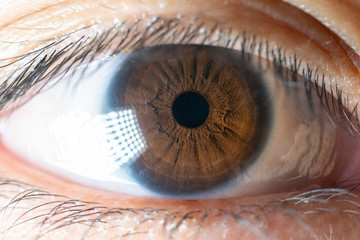 close up to the beautiful eye.