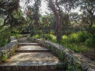 Fototapeta na wymiar National Garden of Athens, Greece