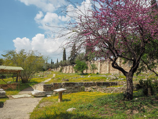 National Garden of Athens, Greece