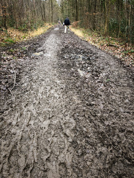 Walking a mud path in the forest after heavy rainfall, muddy hiking trail outdoors, Belgium, Europe