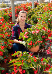 Woman farmer checking blooming begonias