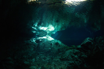 Cenote in Yucatan from underwater 
