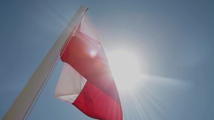 the flag of Poland is developing in the wind - Powered by Adobe