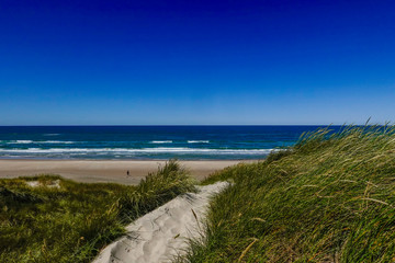 Fototapeta na wymiar Hirtshals, Denmark A path on the dunes down to the beach on the North Sea.