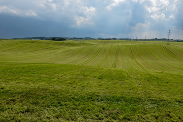 Landscape of a green meadow in Denmark