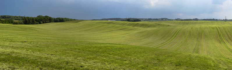 Landscape of a green meadow in Denmark