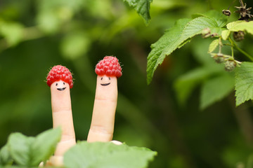 two fingers with funny faces in raspberry hats on green bush background