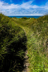 Hirtshals, Denmark A path through the dunes and a view of the North Sea.