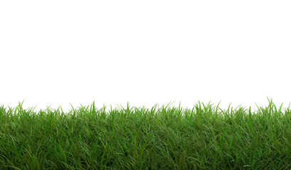 green grass field garden 3d-illustration