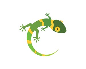 Gecko logo vector icon illustration
