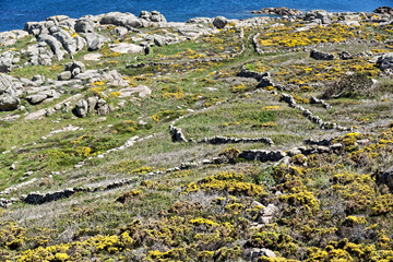 Landschaft an der Küste von Galicien geprägt durch uralte Landwirtschaft