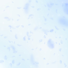 Light blue flower petals falling down. Adorable ro