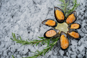 scallop seafood varieties on ice mussels