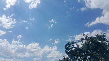 beautiful background of clouds and trees, clearly visible lines of white clouds and blue sky, above the sunbeam
