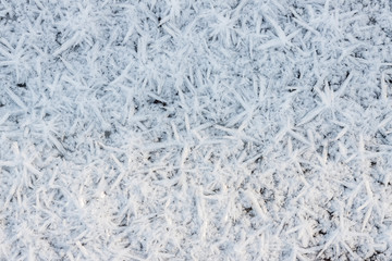 Natural background -  hoarfrost on the grass.