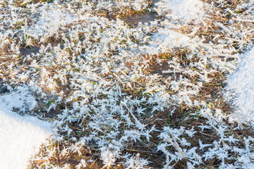 Natural background -  hoarfrost on the grass.