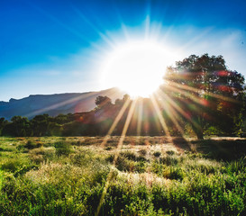 Obraz premium Setting Sun