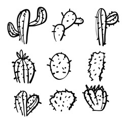 doodle exotic cactuses plants summer desert tropical flora cartoon botanical hand drawn cartoon style