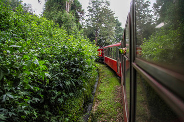 Alishan,taiwan-October 14,2018:Red train run in foggy day at alishan line on alishan mountain,taiwan.