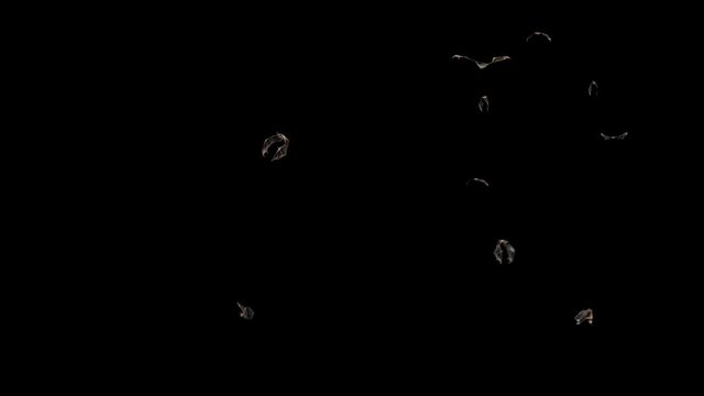 Bats Halloween Alpha Matte 3D Rendering Animation 4K