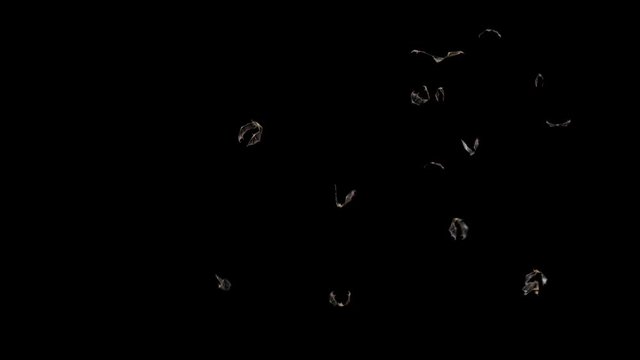 Bats Halloween Alpha Matte Loop 3D Rendering Animation 4K