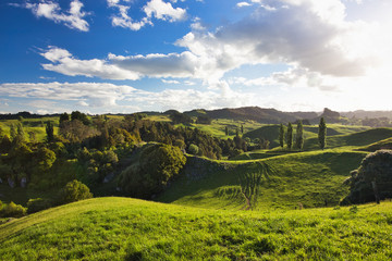 Fototapeta na wymiar New Zealand Countryside Scenery, Waitomo Area