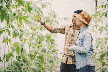 Two farmers talk on the farm field about produce and Using a tablet for controling qulity of product