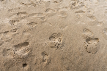 Fußspuren im Sand